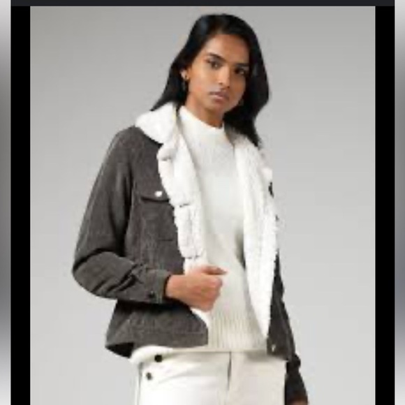 VINTAGE CHORE JACKET DARK BROWN/GREEN CORDUROY WITH WARM WOOL LINING - Picture 3 of 16